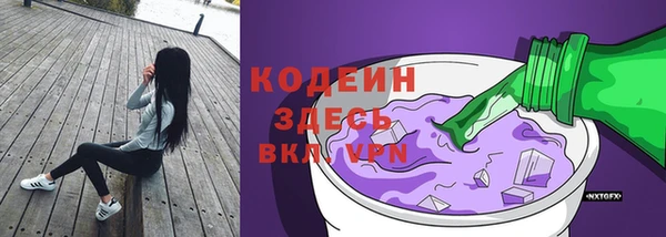 бошки Гусев