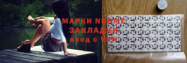 гашик Гусь-Хрустальный