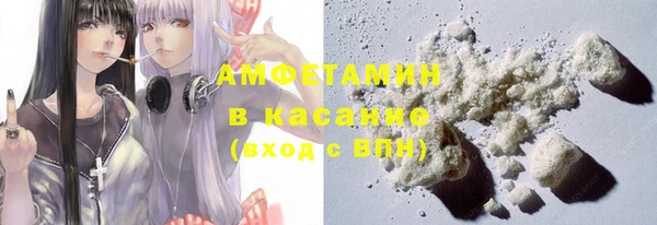 гашик Гусь-Хрустальный