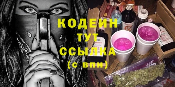 гашик Гусь-Хрустальный
