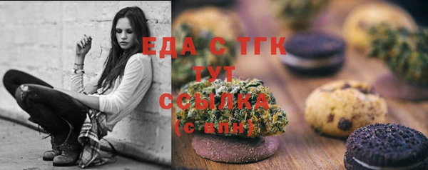 гашик Гусь-Хрустальный