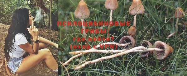 марки lsd Гусиноозёрск