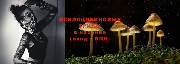 марки lsd Гусиноозёрск