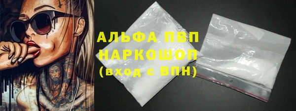 гашик Гусь-Хрустальный