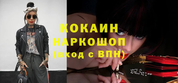 гашик Гусь-Хрустальный