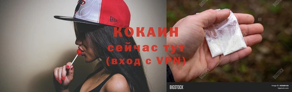 бошки Гусев