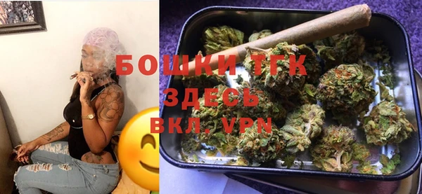 гашик Гусь-Хрустальный