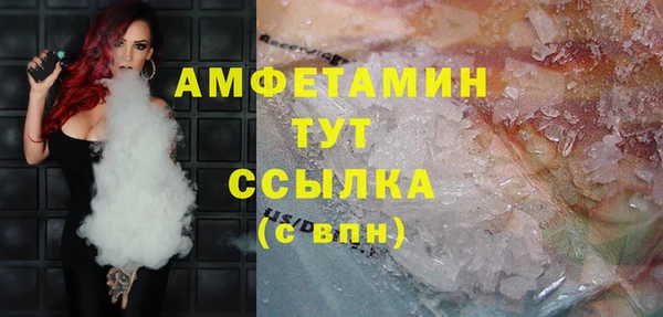 гашик Гусь-Хрустальный