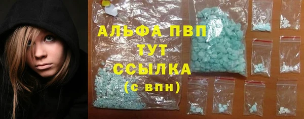 бошки Гусев