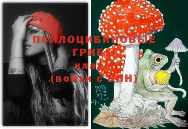 марки lsd Гусиноозёрск