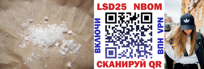 МЕГА ссылки  shop клад  LSD-25 экстази ecstasy  купить наркотики сайты  Новоржев 