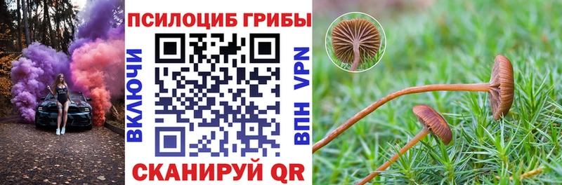Галлюциногенные грибы прущие грибы  darknet клад  Новоржев 