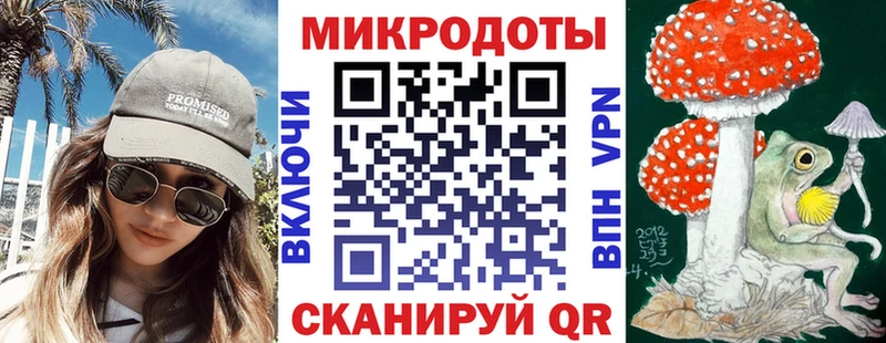 Псилоцибиновые грибы Cubensis Новоржев