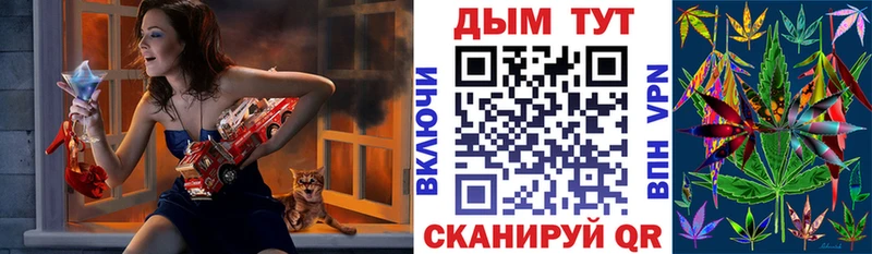 Шишки марихуана марихуана Новоржев